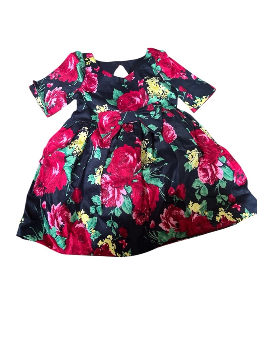 3-6 mon Navy Floral Party Dress with Red Rose Print and tulle petticoat NWT